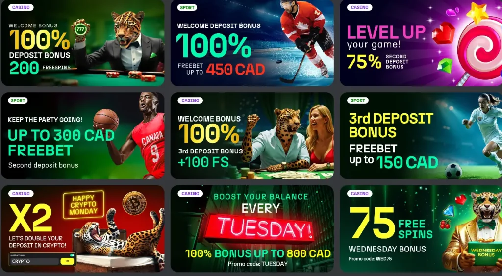 Casino Betprimeiro Ongoing Promotions